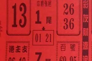 12/16 鶴仙子手冊-六合彩參考.jpg