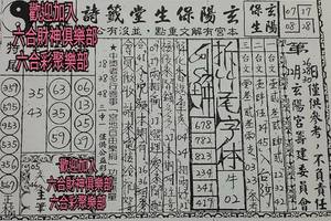 12/28-12/30  玄陽保生堂-六合彩參考.jpg