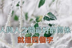 人與人之間最好的關係，是這四個字（深度好文）