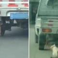 中國網友目擊一輛快速行駛的卡車後方「拖行著一隻狗狗」，當司機被逮到後他竟然這麼說…