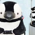 大尖叫！日本推出能掛在行李箱上的「旅行企鵝娃娃提袋」，一臉呆萌地趴在行李箱上…可愛到害人原地爆炸！