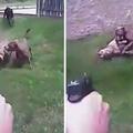【影片】外國警察連開三槍擊斃狗狗！　他辯稱：是牠朝我狂奔過來，逼不得已才會開槍  