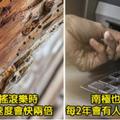 25個會讓你馬上想去Google是不是真的「最難以置信的奇特事實」！威而鋼不只能幫人類「站的直挺挺」！